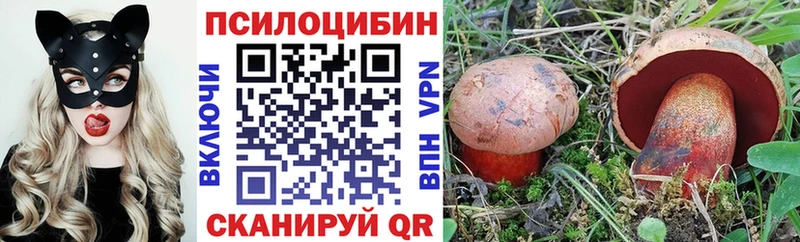 Псилоцибиновые грибы GOLDEN TEACHER  Купить  Краснотурьинск 